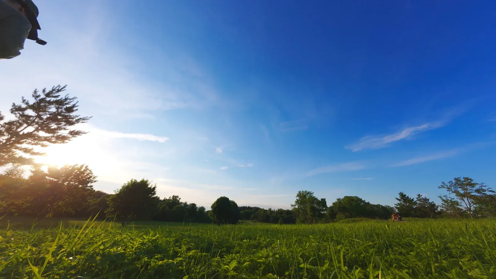 High-resolution 4K action camera frame of a field at sunset.
